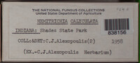 Image Associated With the Occurence